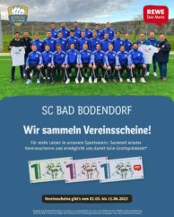 Rewe Scheine Fuer Vereine Poster Feed 1